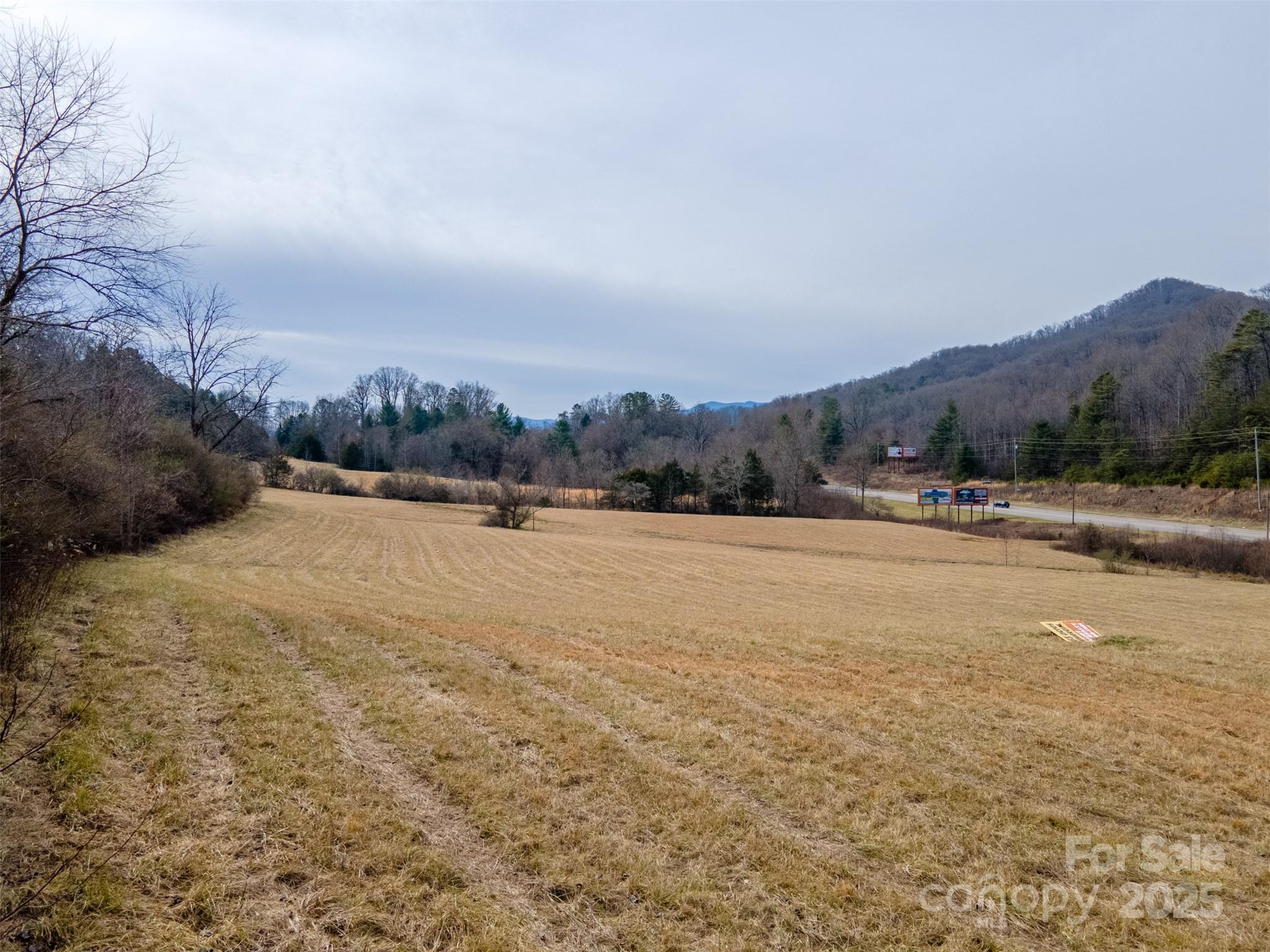 0 Georgia Road Franklin, NC 28734 - Photo 14 of 29 a view of patio and a yard