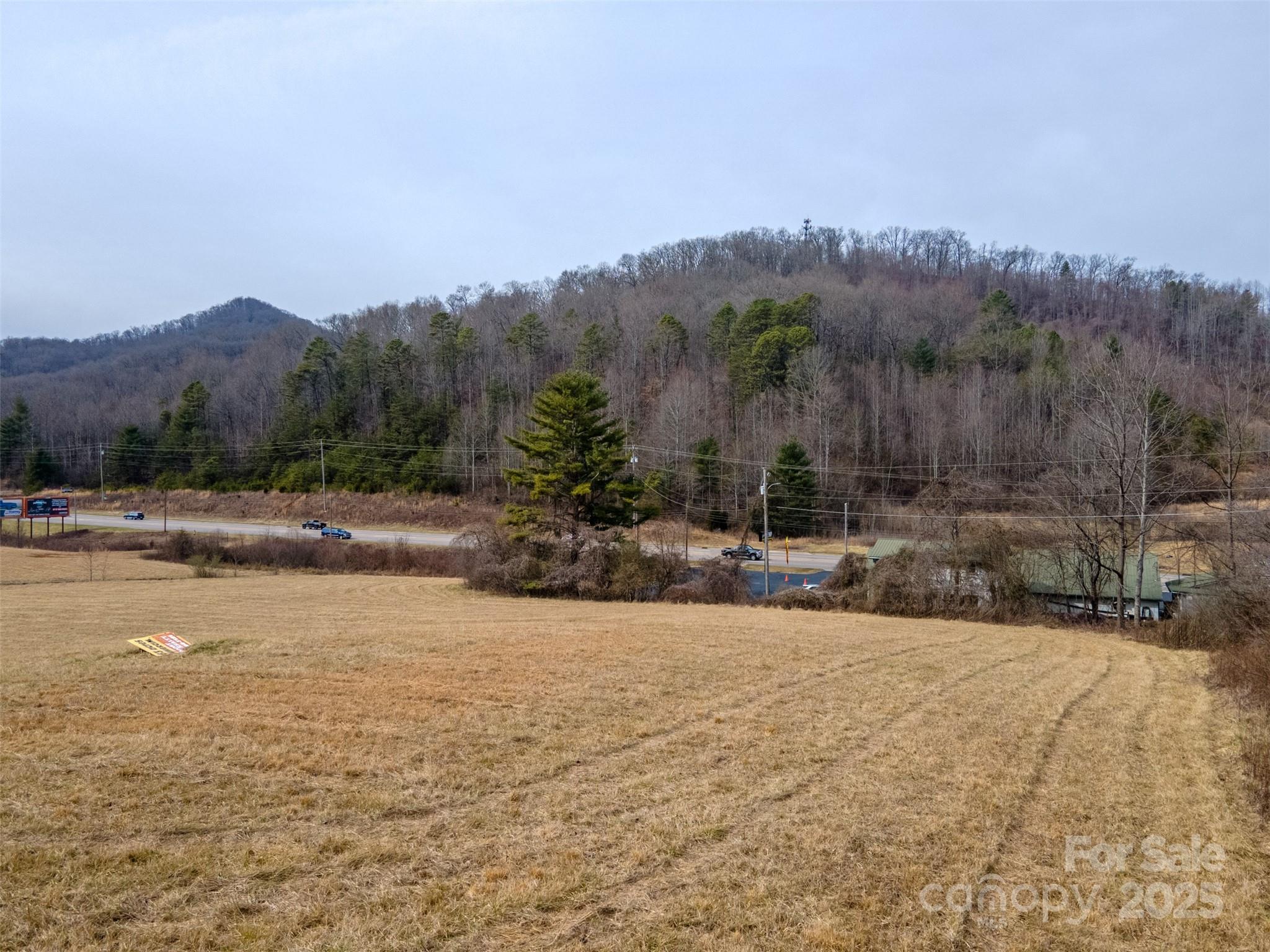 0 Georgia Road Franklin, NC 28734 - Photo 15 of 29 a view of a town with mountains in the background