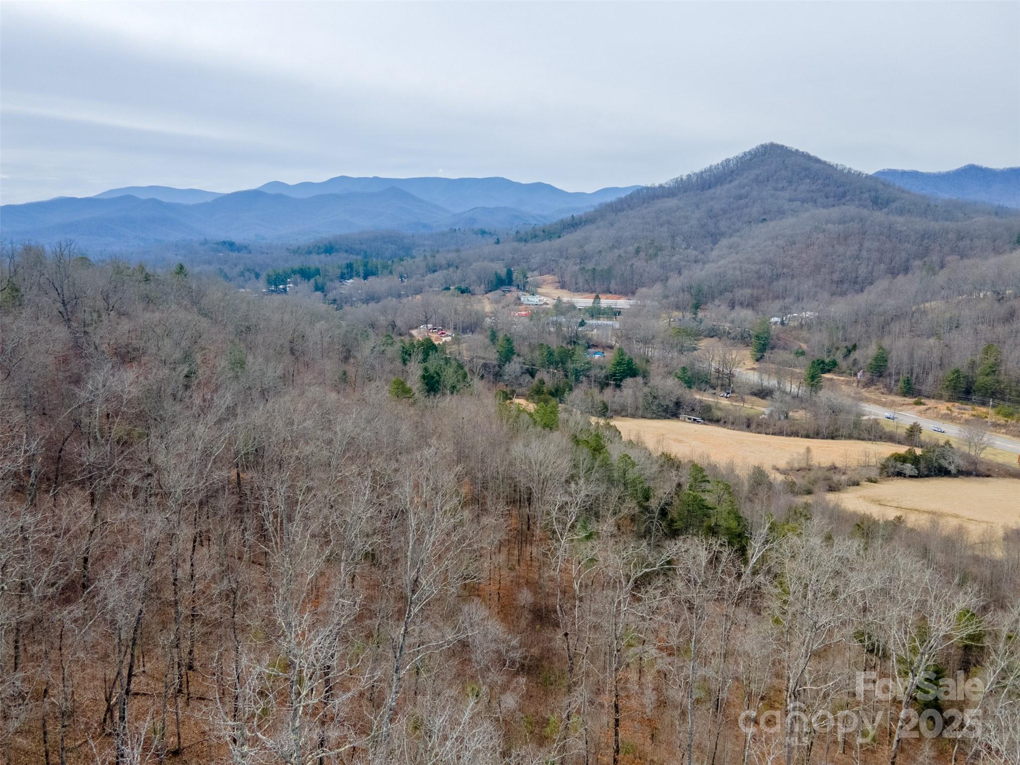 0 Georgia Road Franklin, NC 28734 - Photo 17 of 29 a view of a backyard with green space