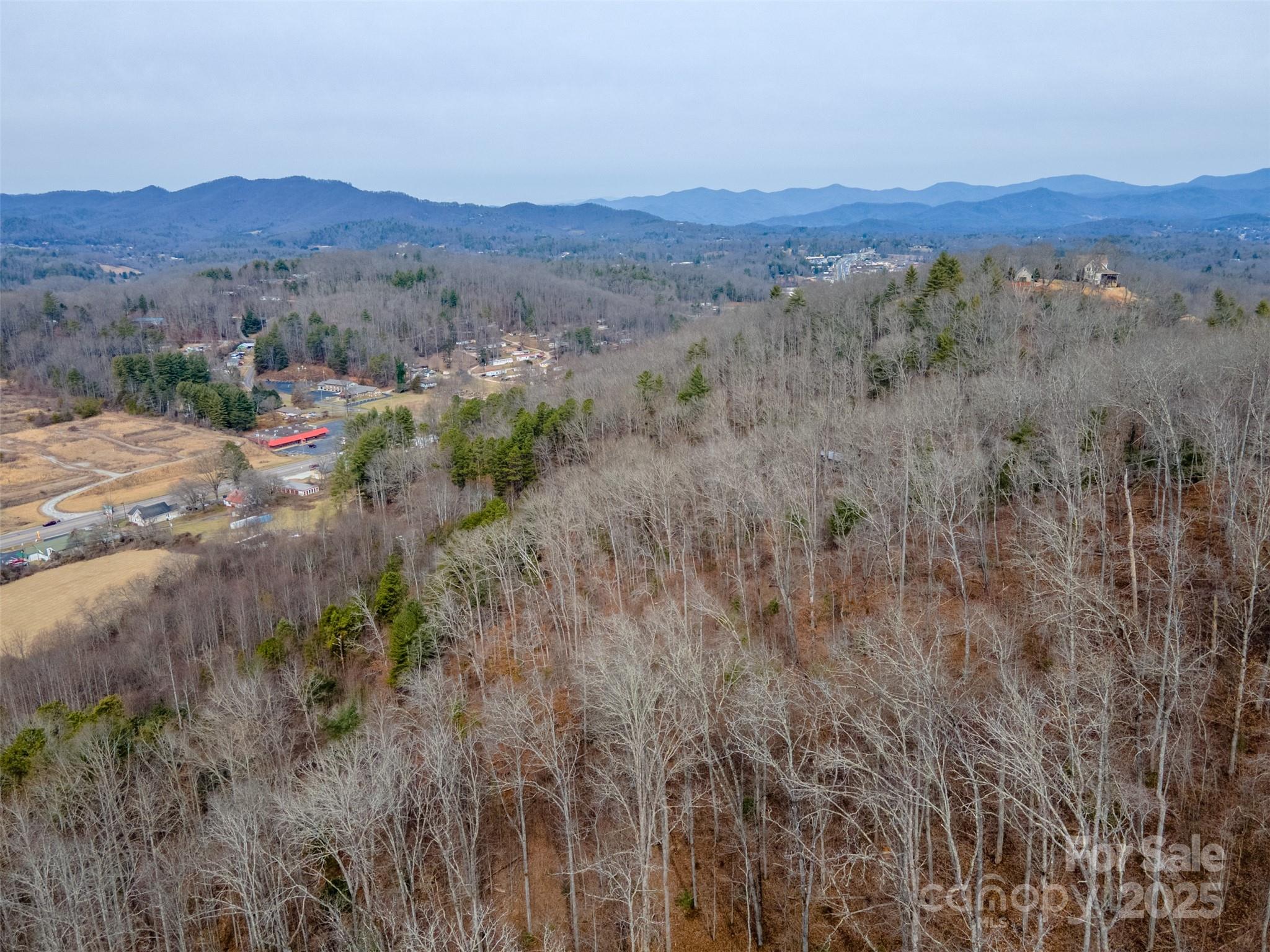 0 Georgia Road Franklin, NC 28734 - Photo 19 of 29 a view of a forest with mountains in the background