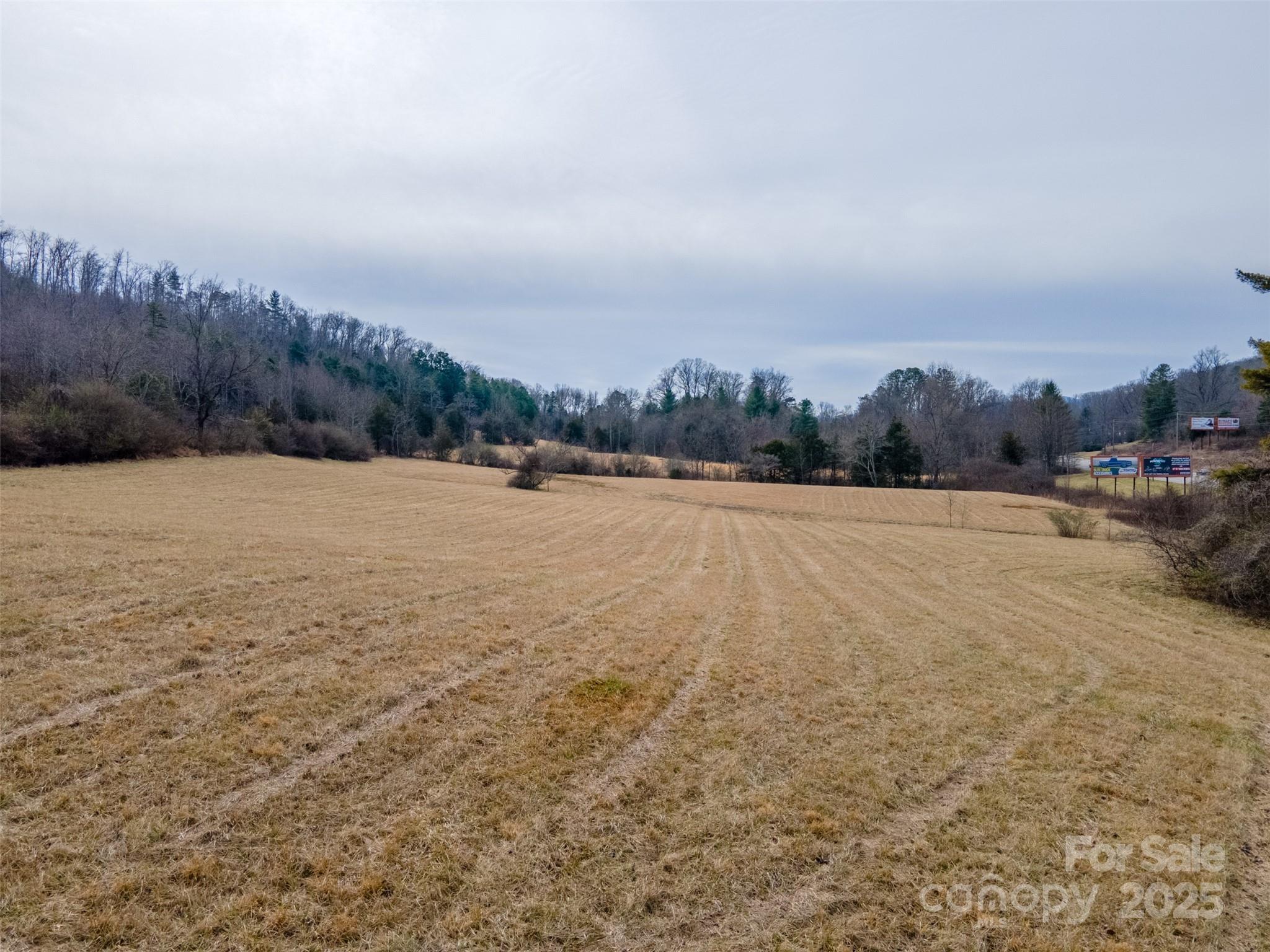 0 Georgia Road Franklin, NC 28734 - Photo 2 of 29 a view of outdoor space with trees