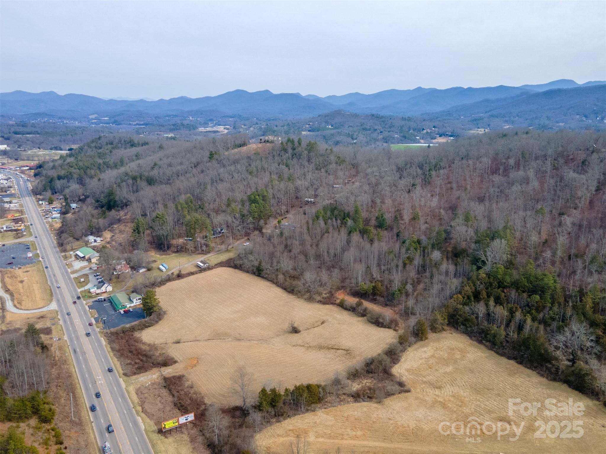 0 Georgia Road Franklin, NC 28734 - Photo 22 of 29 a view of a backyard with mountain view
