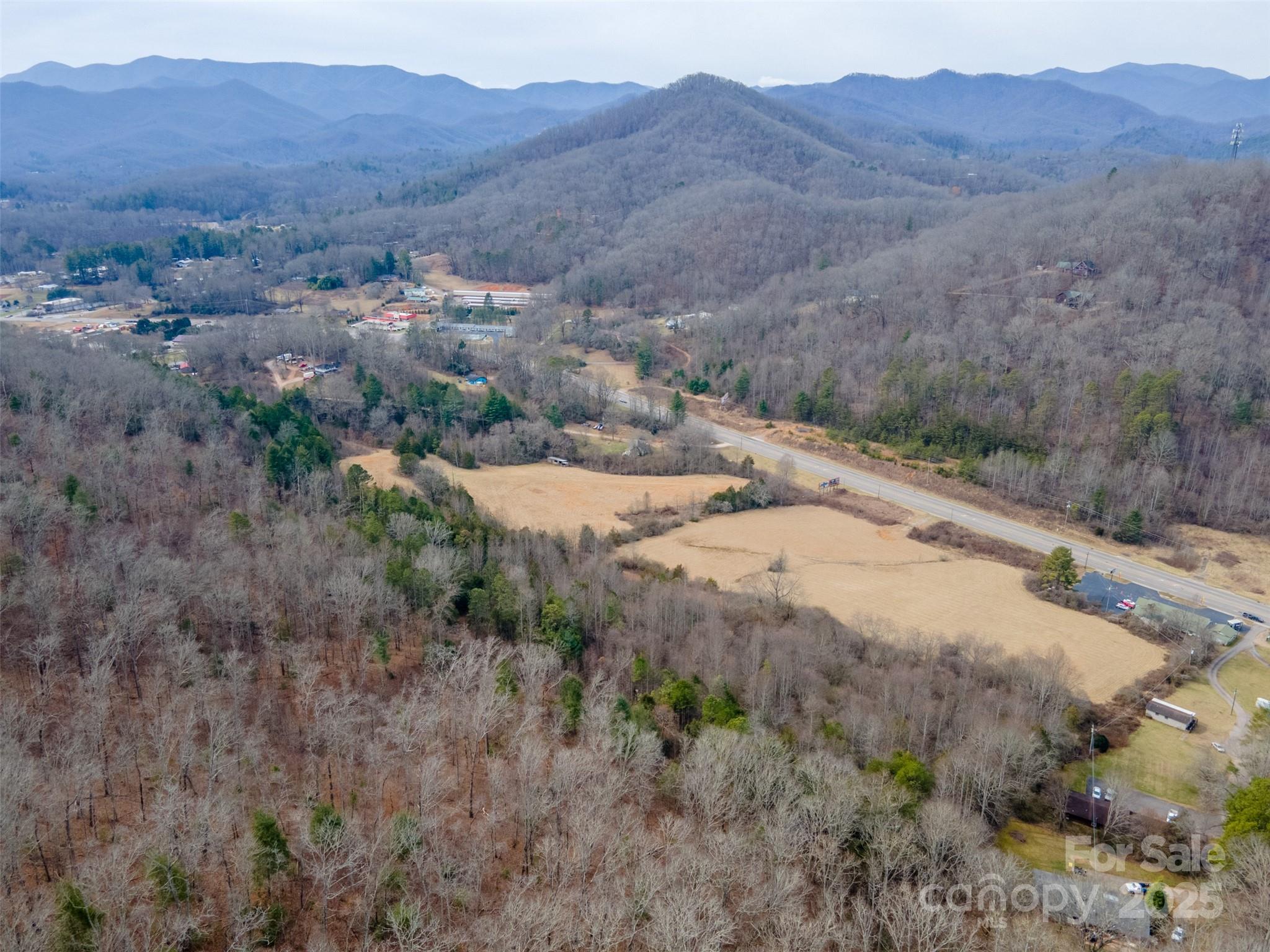 0 Georgia Road Franklin, NC 28734 - Photo 25 of 29 a view of a large mountains in the distance