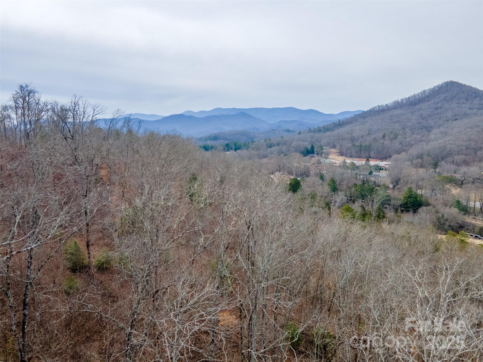 0 Georgia Road Franklin, NC 28734 - Photo 27 of 29 a view of a dry yard with trees in the background
