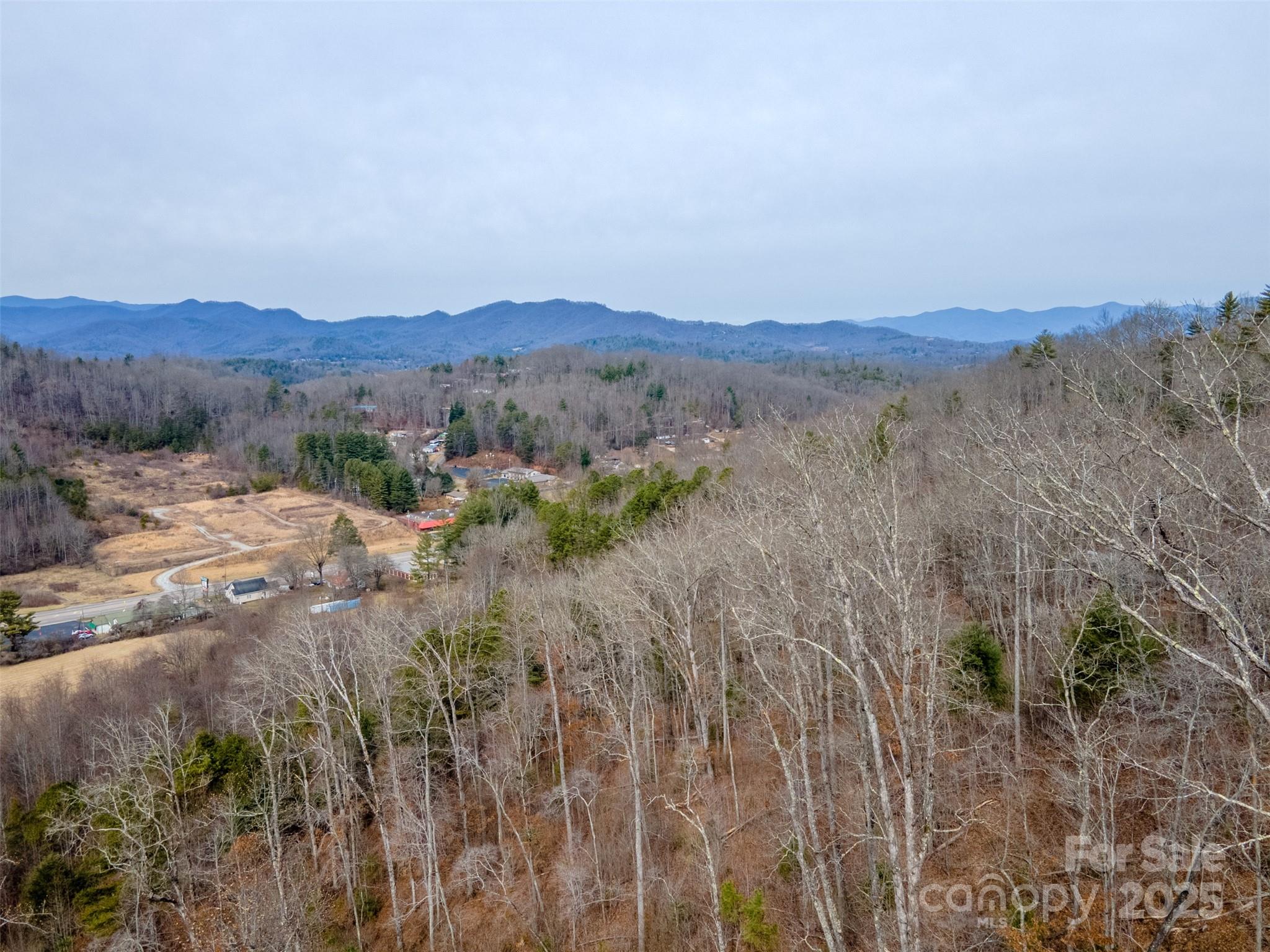 0 Georgia Road Franklin, NC 28734 - Photo 28 of 29 a view of lake with mountain
