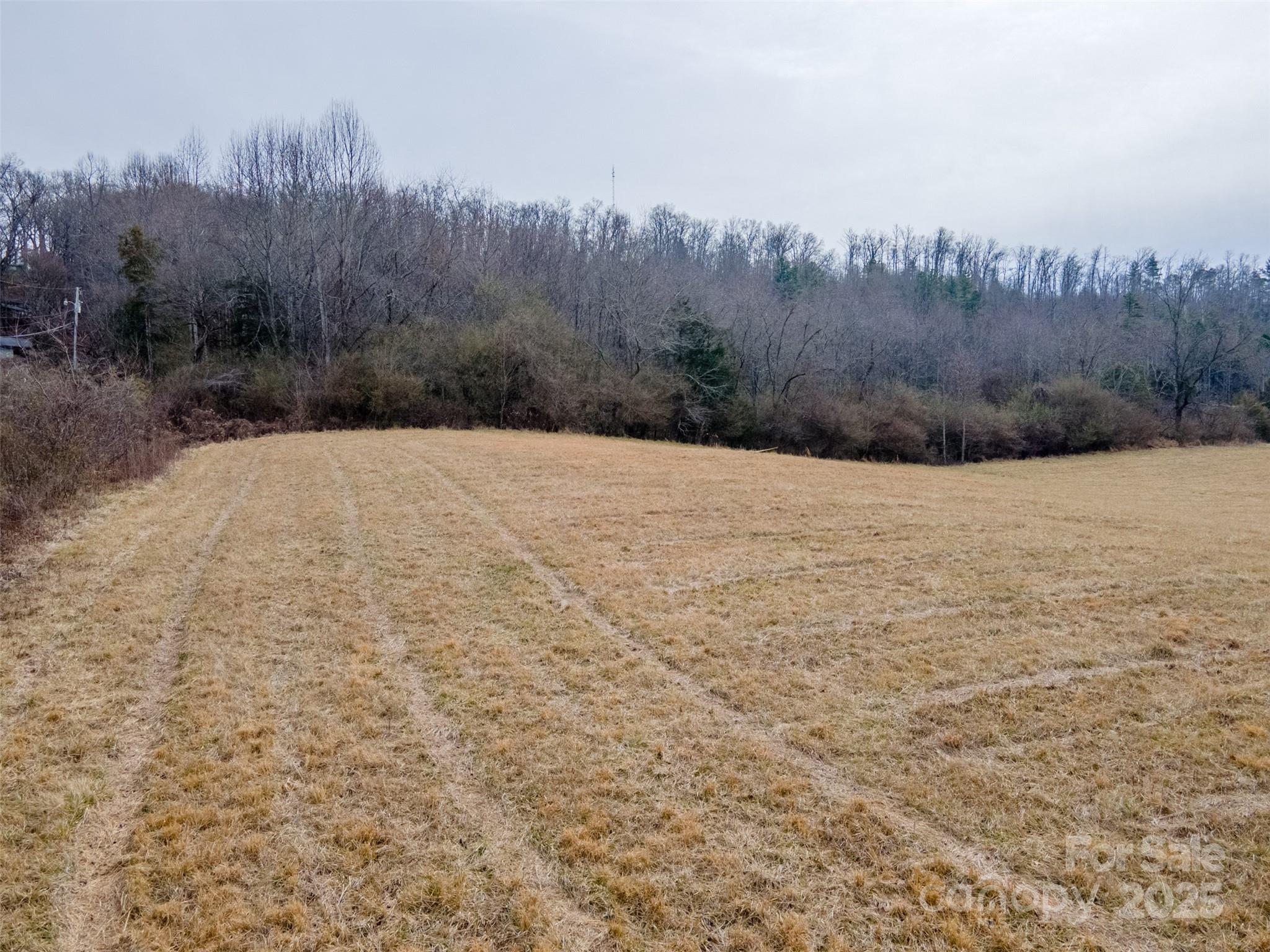 0 Georgia Road Franklin, NC 28734 - Photo 29 of 29 a view of a backyard of the house