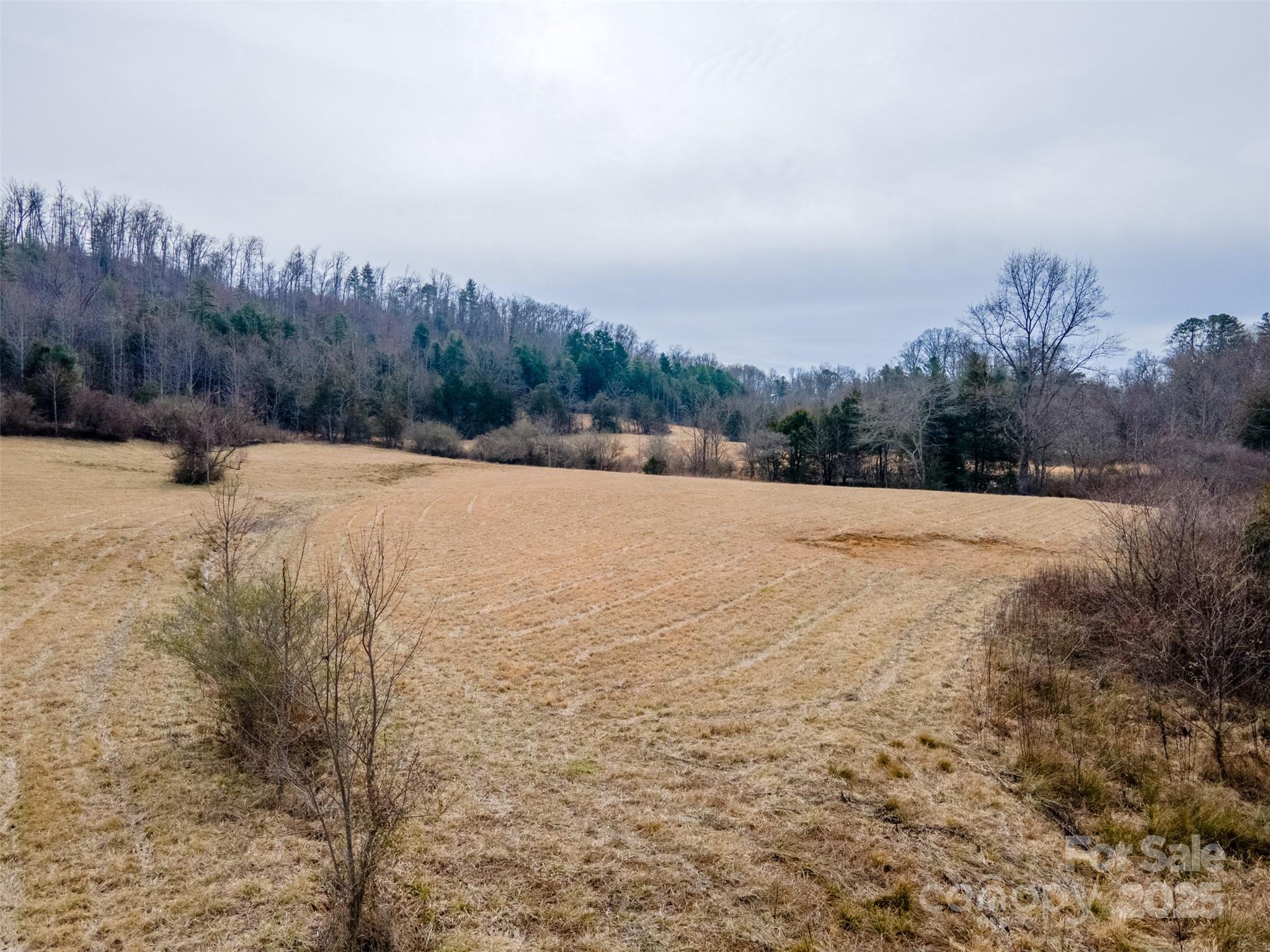 0 Georgia Road Franklin, NC 28734 - Photo 4 of 29 a view of an outdoor space and a yard