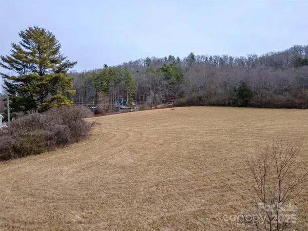 a view of an outdoor space and a yard