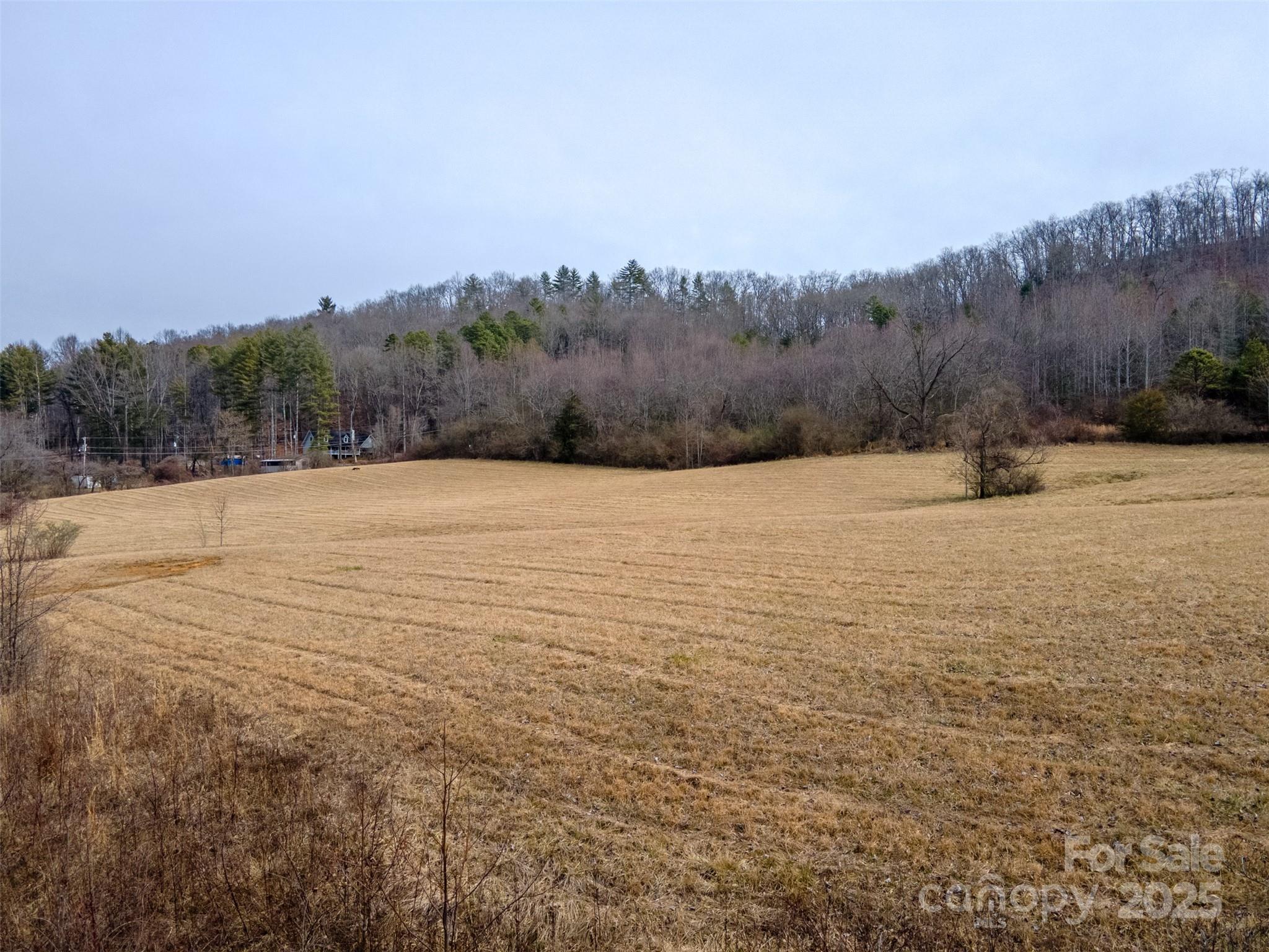 0 Georgia Road Franklin, NC 28734 - Photo 8 of 29 a view of an outdoor space and mountain view