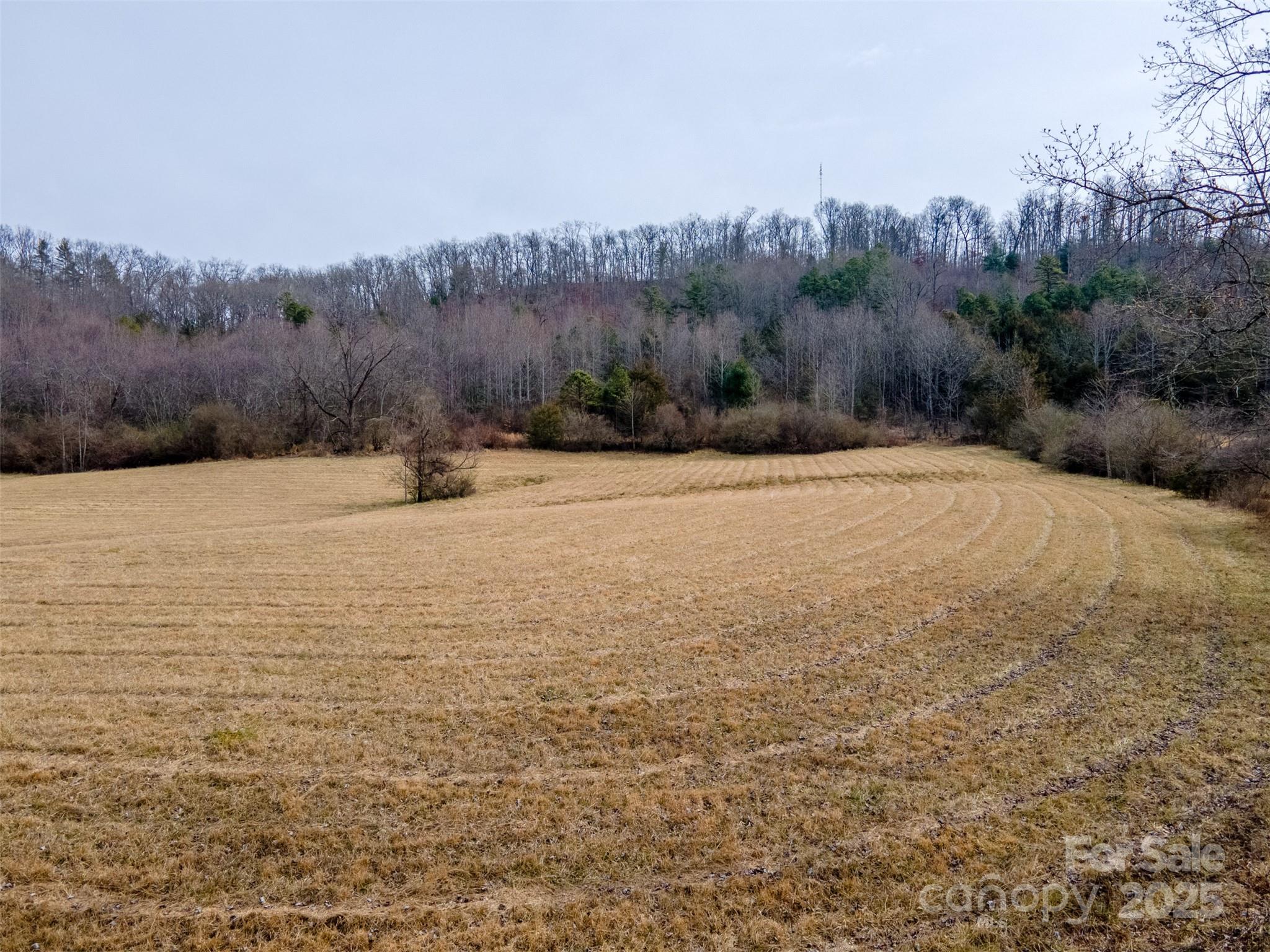 0 Georgia Road Franklin, NC 28734 - Photo 9 of 29