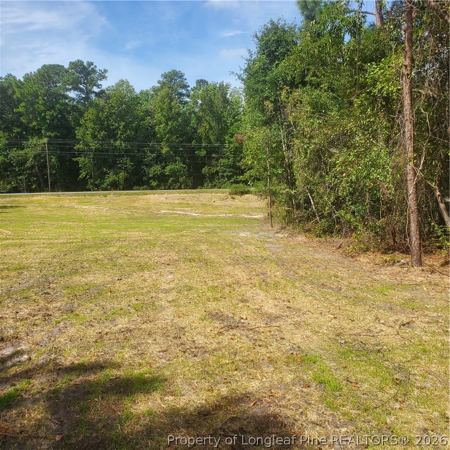 Tbd Rockfish Road Raeford, NC 28376 - Photo 1 of 7 a view of a yard with a house