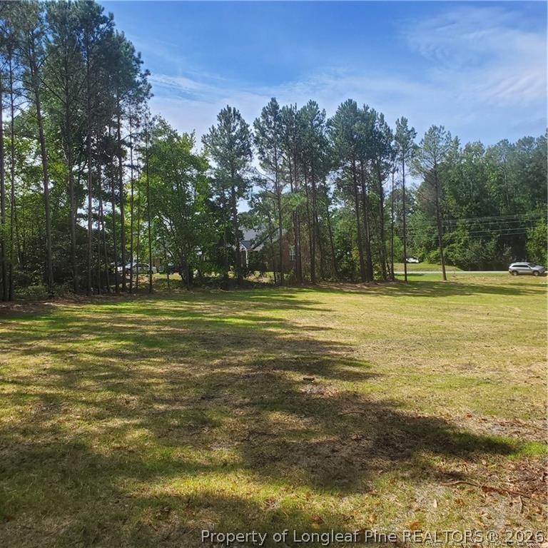 Tbd Rockfish Road Raeford, NC 28376 - Photo 5 of 7 a view of a water fountain and a big yard