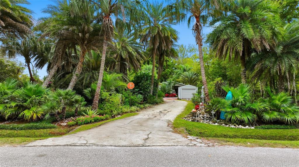 725 Cypress Road St. Augustine, FL 32086 - Photo 11 of 29 a view of a garden with a house