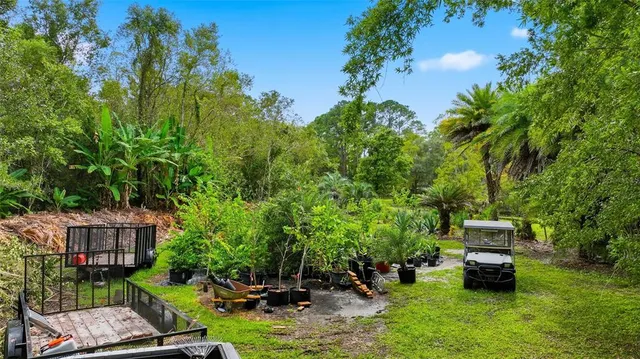 a view of a garden from a balcony