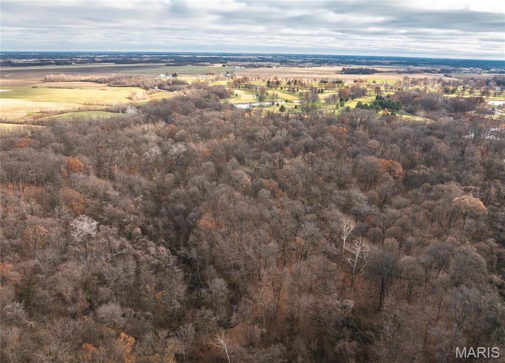 0 State Route 111 Road Wood River, IL 62095 - Photo 6 of 14