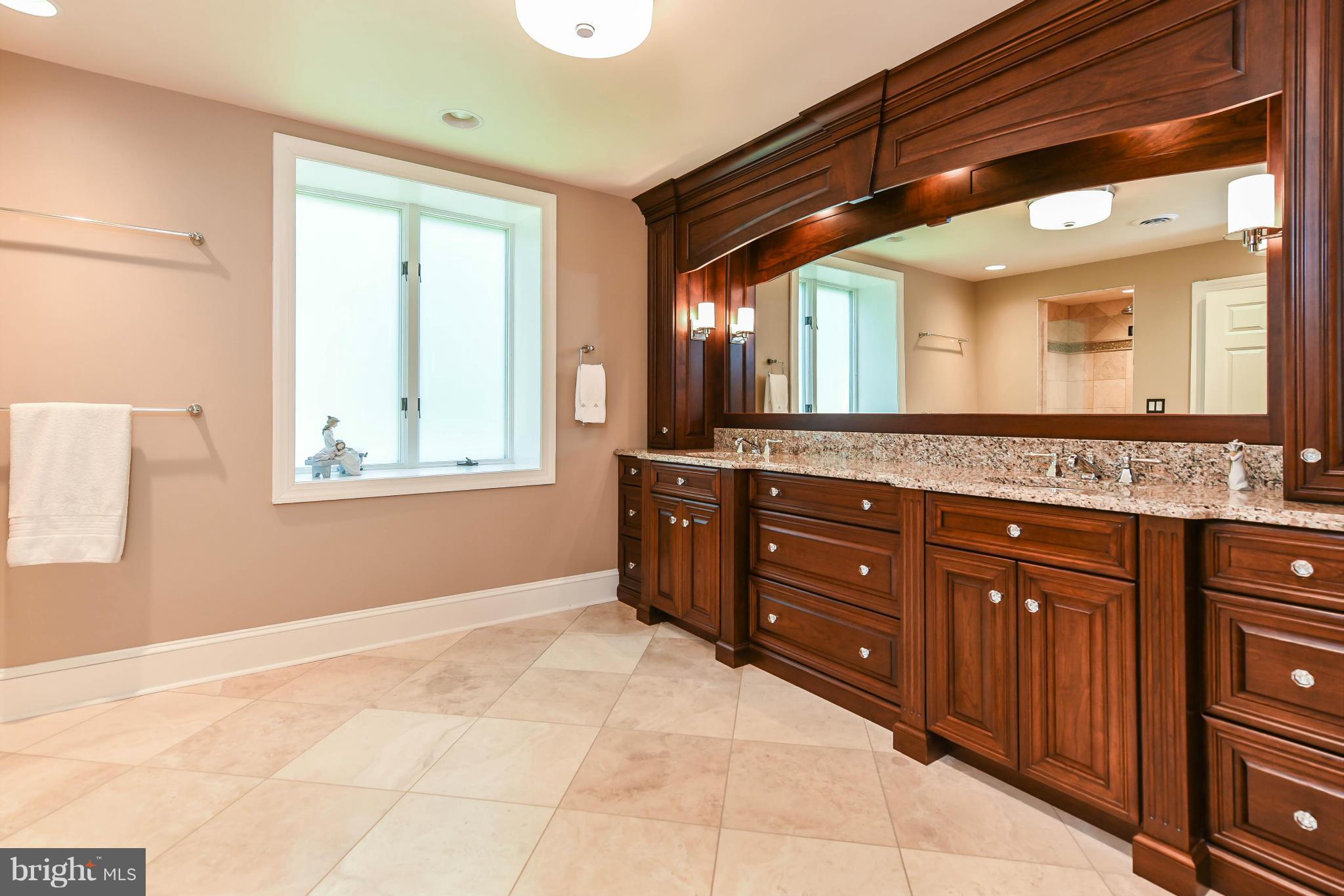 5099 Turkey Point Road North East, MD 21901 - Photo 8 of 30 Bath (Master)