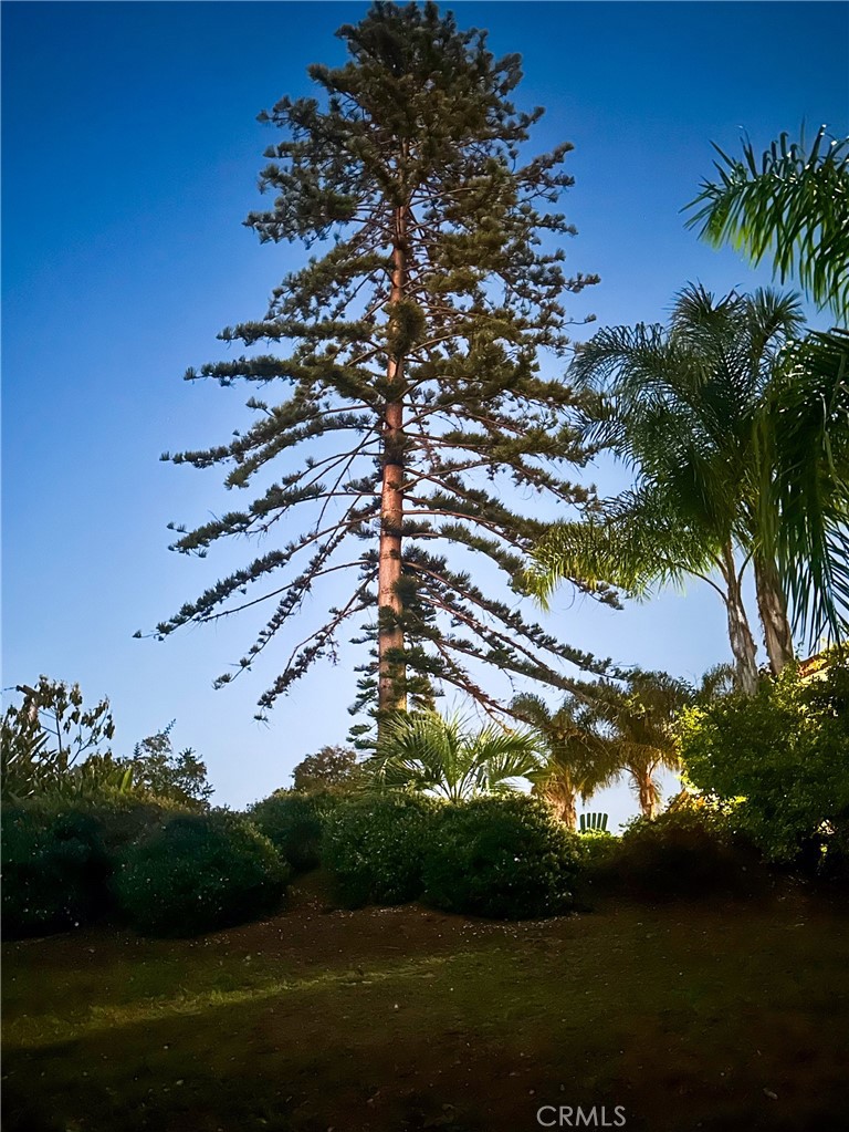 1955 Friendly Drive Vista, CA 92084 - Photo 2 of 75 a view of a lake in middle of the house