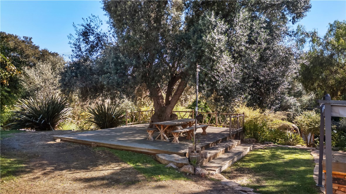 1955 Friendly Drive Vista, CA 92084 - Photo 63 of 75 a view of a tree with yard