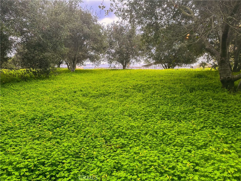 1955 Friendly Drive Vista, CA 92084 - Photo 70 of 75 a view of a field with trees in the background