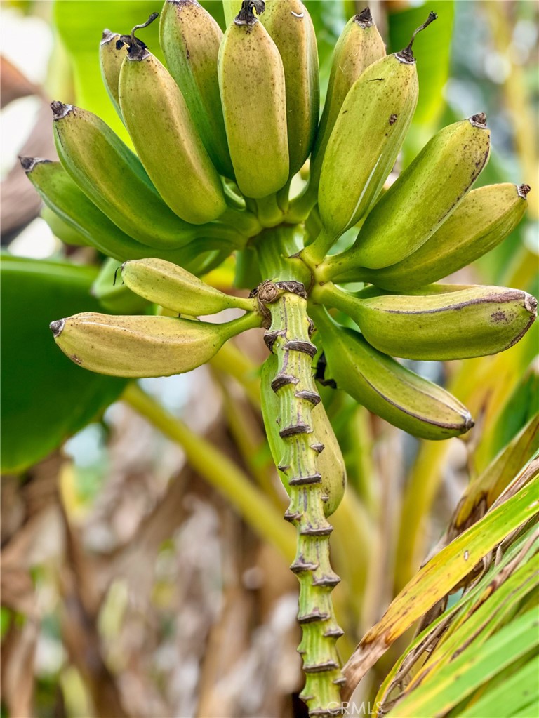 1955 Friendly Drive Vista, CA 92084 - Photo 73 of 75