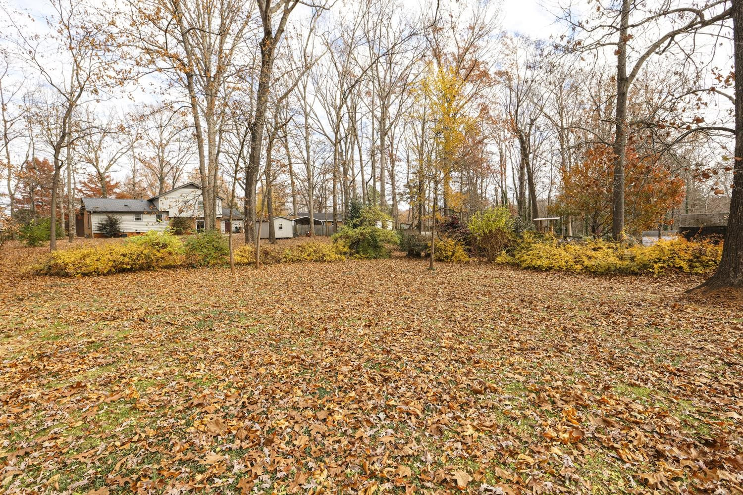 403 Oak Ridge Road Cary, NC 27511 - Photo 3 of 29 Backyard