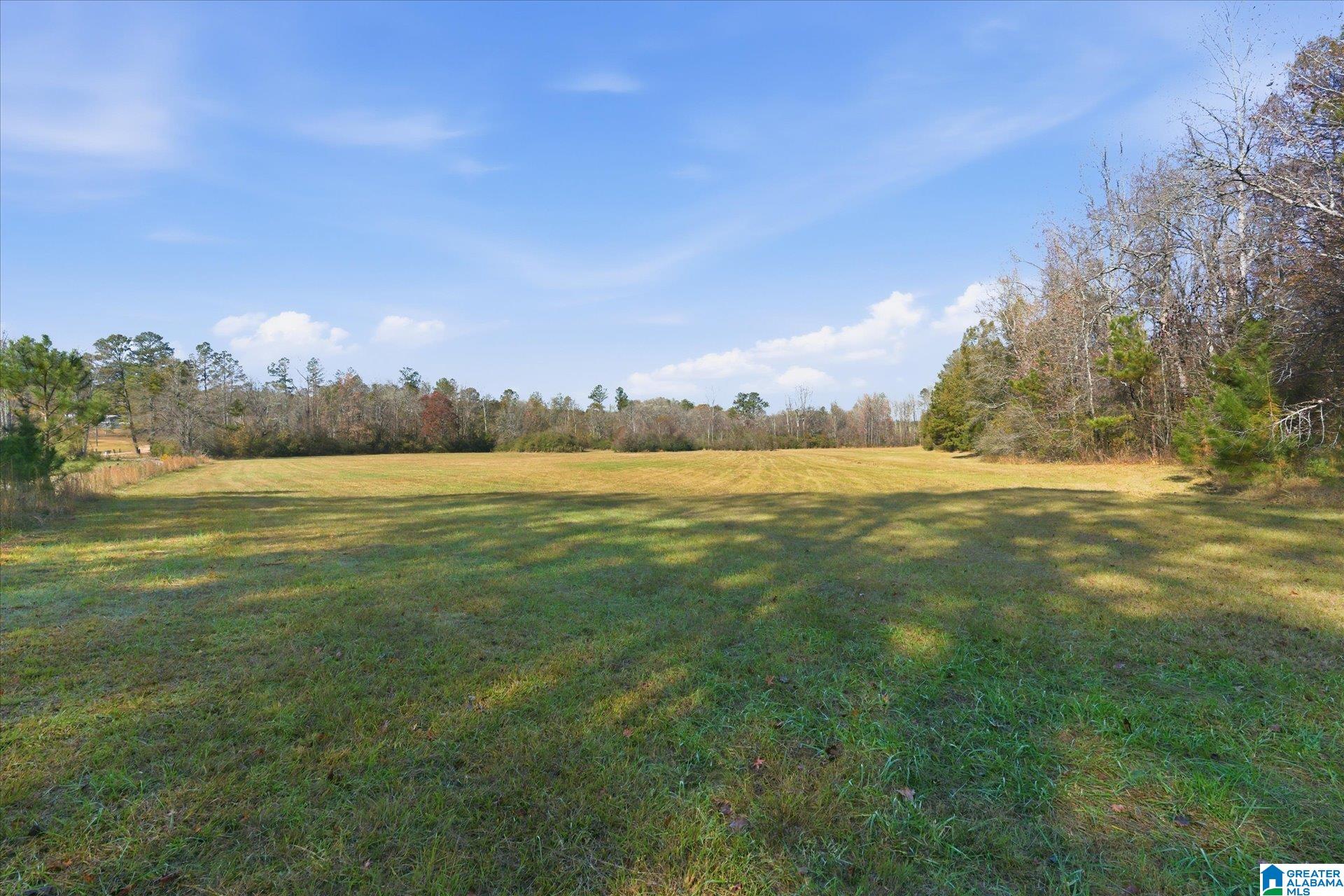 0 County Road 84 Heflin, AL 36264 - Photo 12 of 20