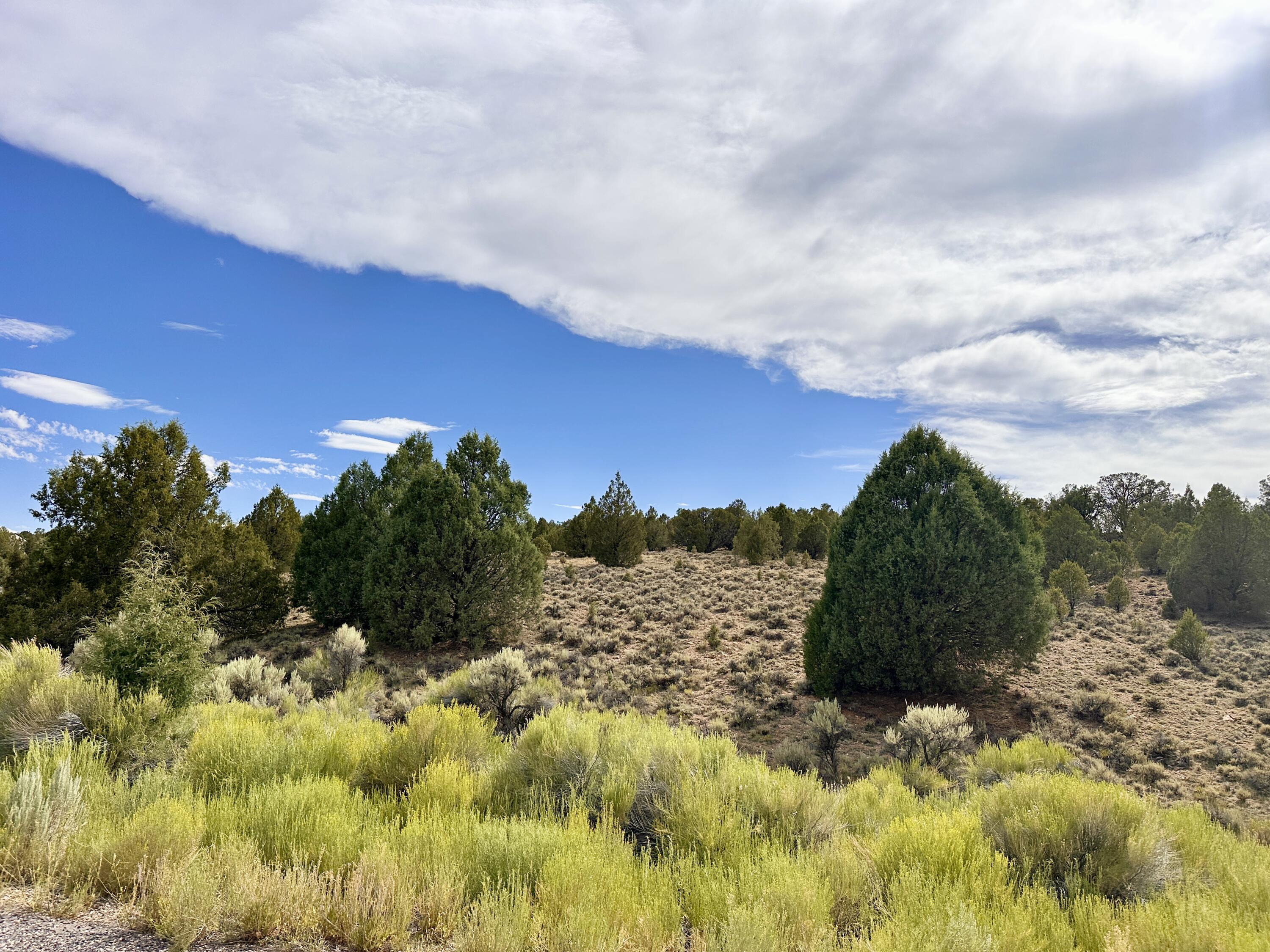 1730 Eagle Ridge Circle Hatch, UT 84735 - Photo 10 of 15 IMG_0617 2