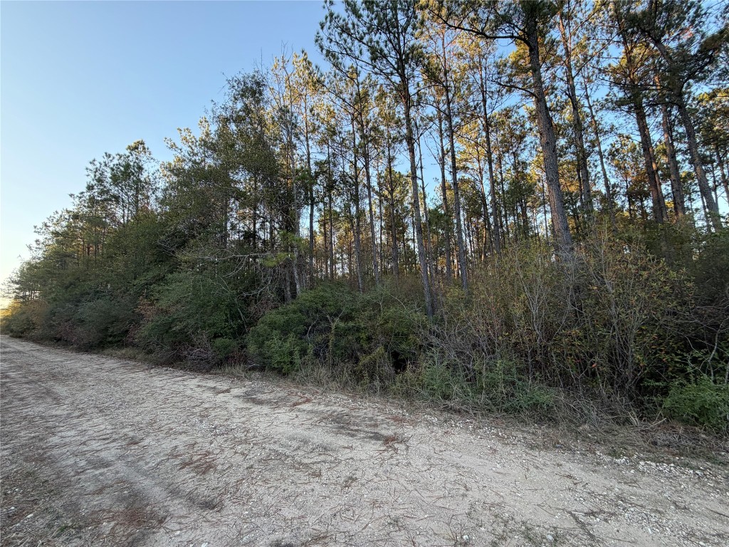 Lot 39 Carter Ranch Road Kountze, TX 77625 - Photo 4 of 7