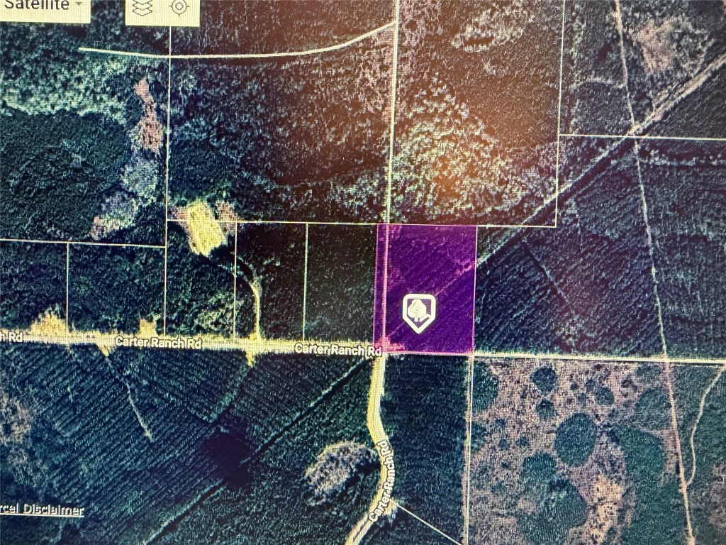 Lot 39 Carter Ranch Road Kountze, TX 77625 - Photo 6 of 7