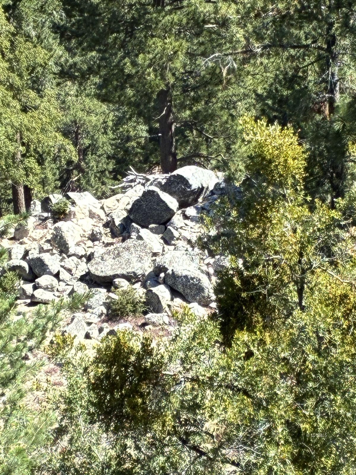 24930 Pine Cove Road Idyllwild, CA 92549 - Photo 7 of 25 Untitled