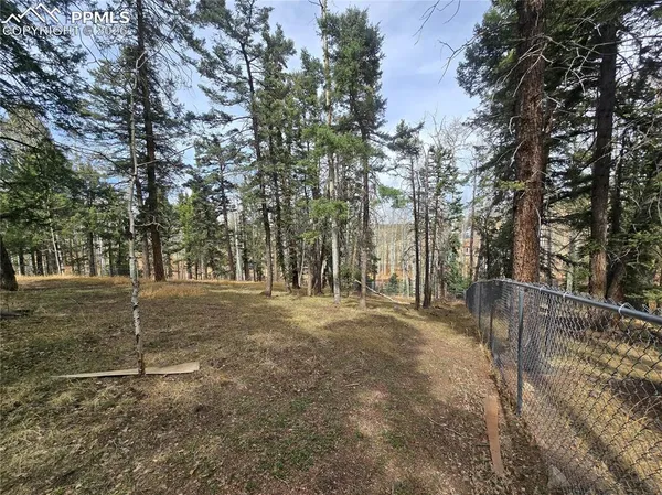 a view of a trees with yard