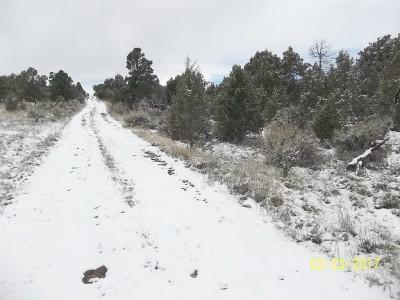 25 Ragsdale Road Norwood, CO 81423 - Photo 3 of 8 lot25driveway