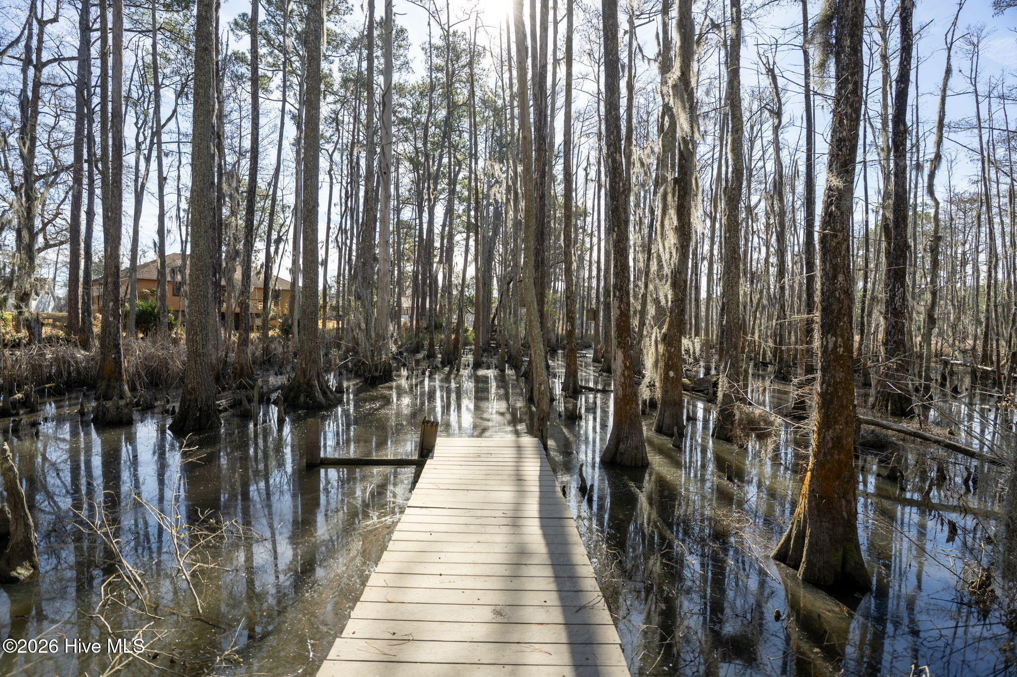 4212 Appleton Way Wilmington, NC 28412 - Photo 19 of 72 67-web-or-mls-BTS03884
