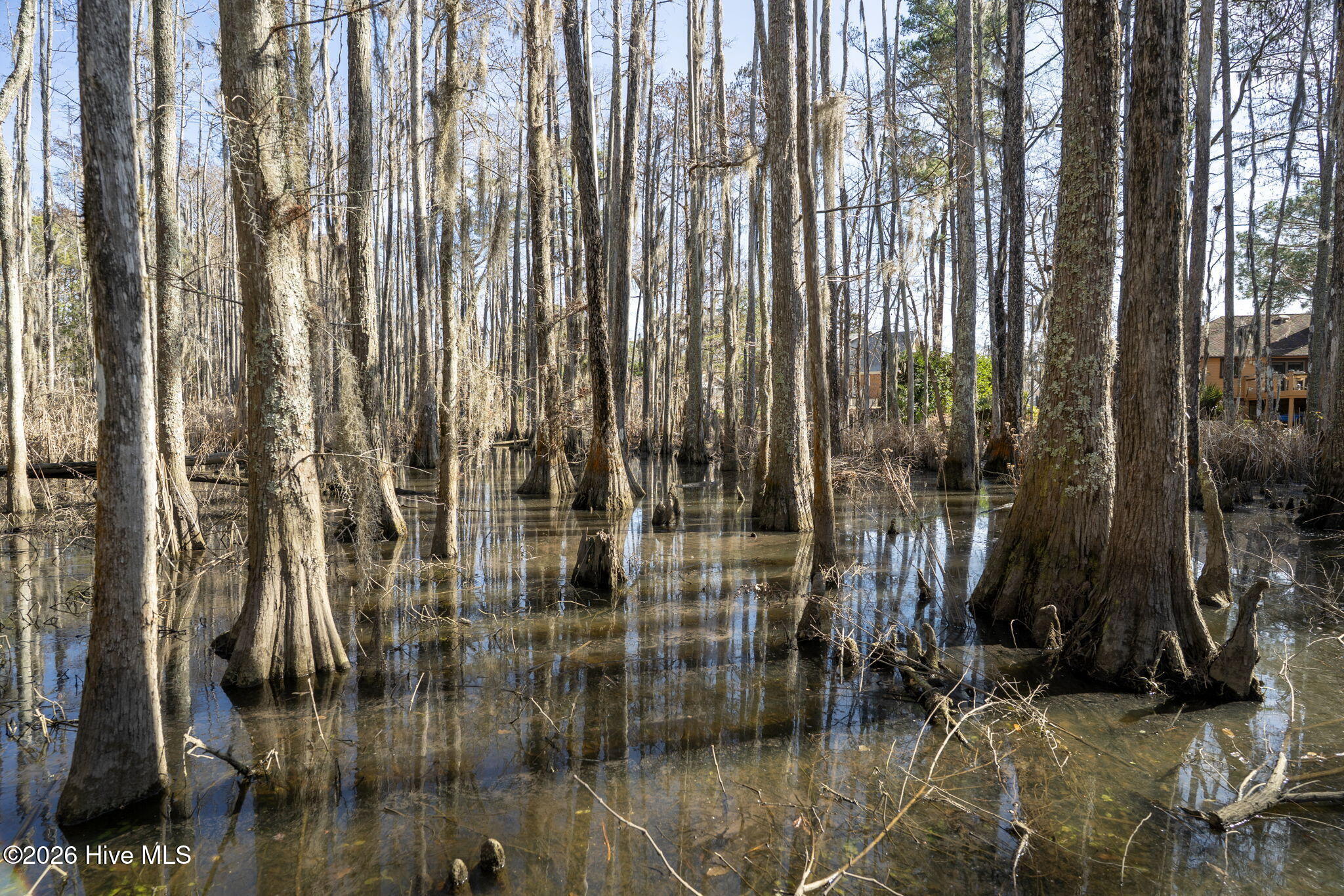 4212 Appleton Way Wilmington, NC 28412 - Photo 22 of 72 62-web-or-mls-BTS03892
