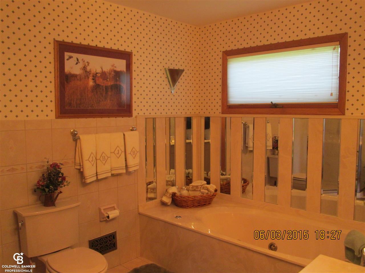 8393 Frith Road Columbus, MI 48063 - Photo 47 of 98 31291431-46.JPG