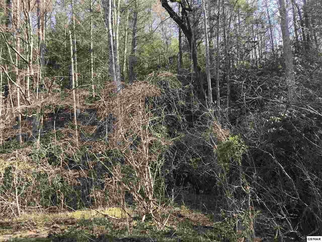 1 Obes Branch Road Sevierville, TN 37876 - Photo 4 of 11