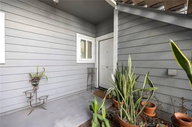 a plant with a plant in front of a window