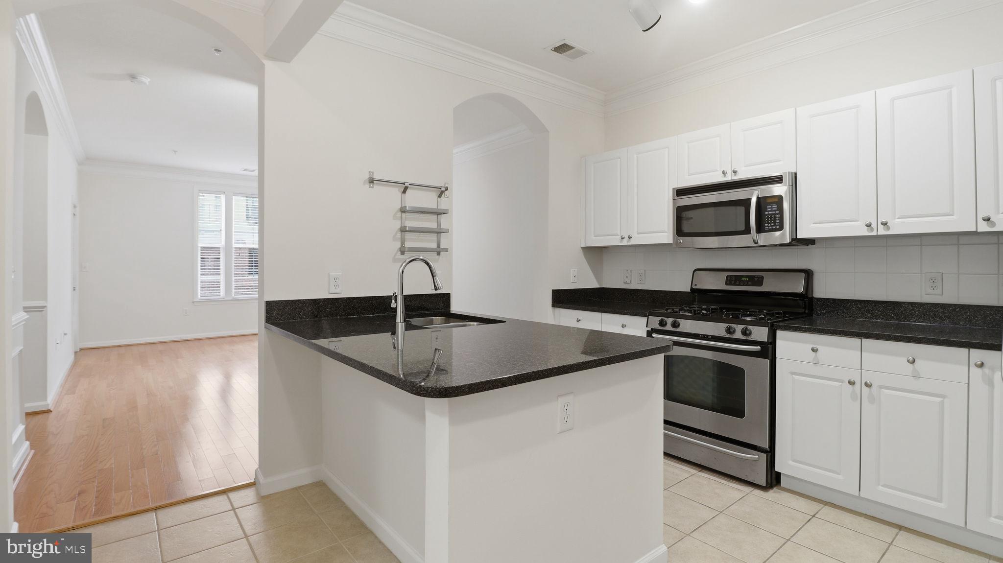 3 Arch Place, Unit 226 Gaithersburg, MD 20878 - Photo 5 of 29 KITCHEN