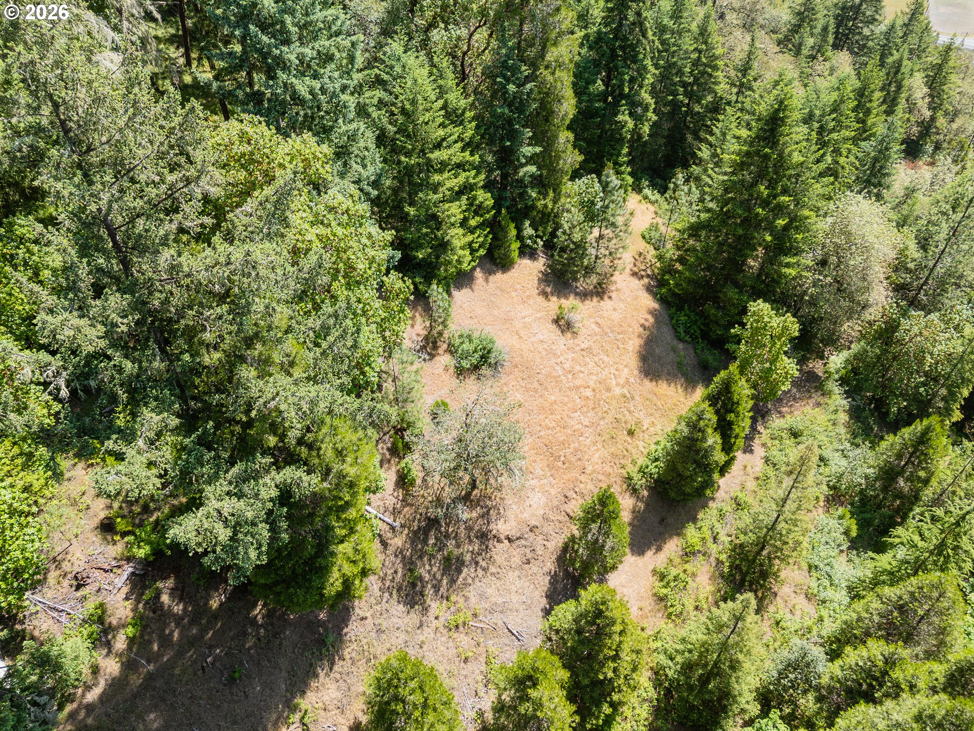 3707 Willis Creek Road Winston, OR 97496 - Photo 21 of 30 a view of a forest with a tree
