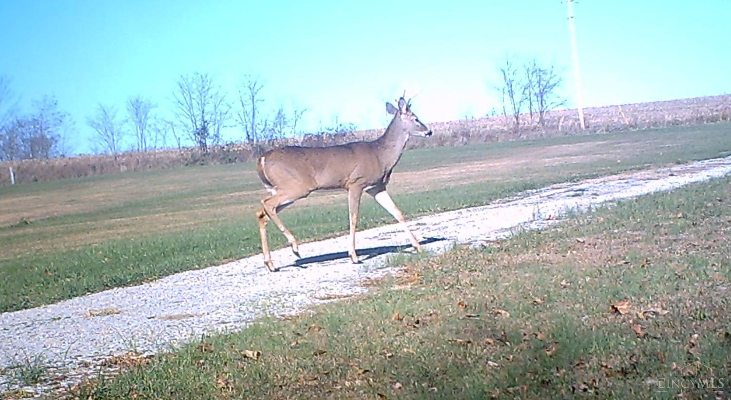 513 Brewer Road West Union, OH 45693 - Photo 19 of 21 Gallery Image 19