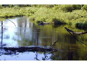 - Lyman Road Lyman, NH 03585 - Photo 3 of 4