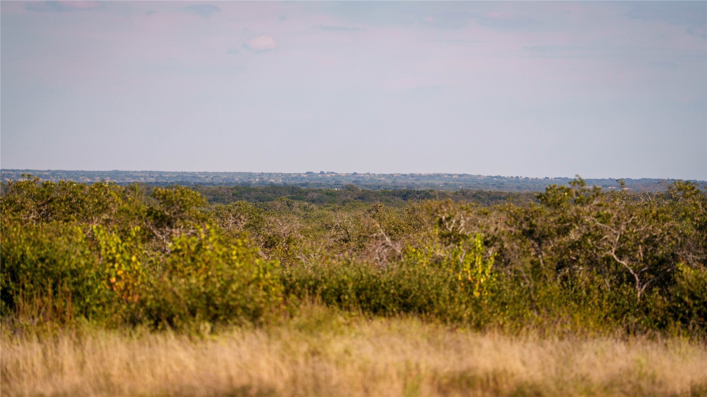 8500 Buck Ridge Drive Brady, TX 76825 - Photo 5 of 32 View of nature
