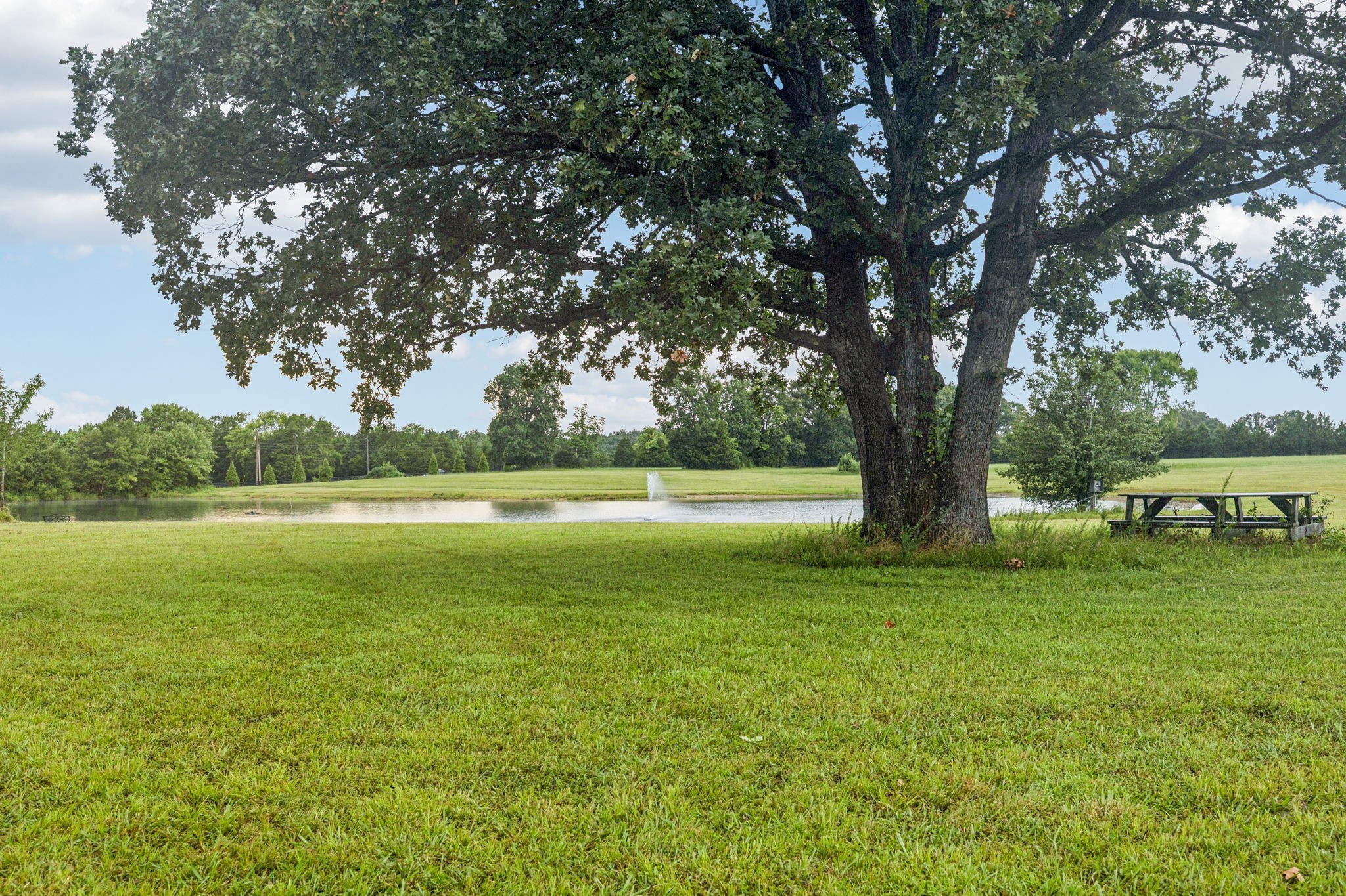 6040 South Mt Juliet Road Hermitage, TN 37076 - Photo 17 of 26