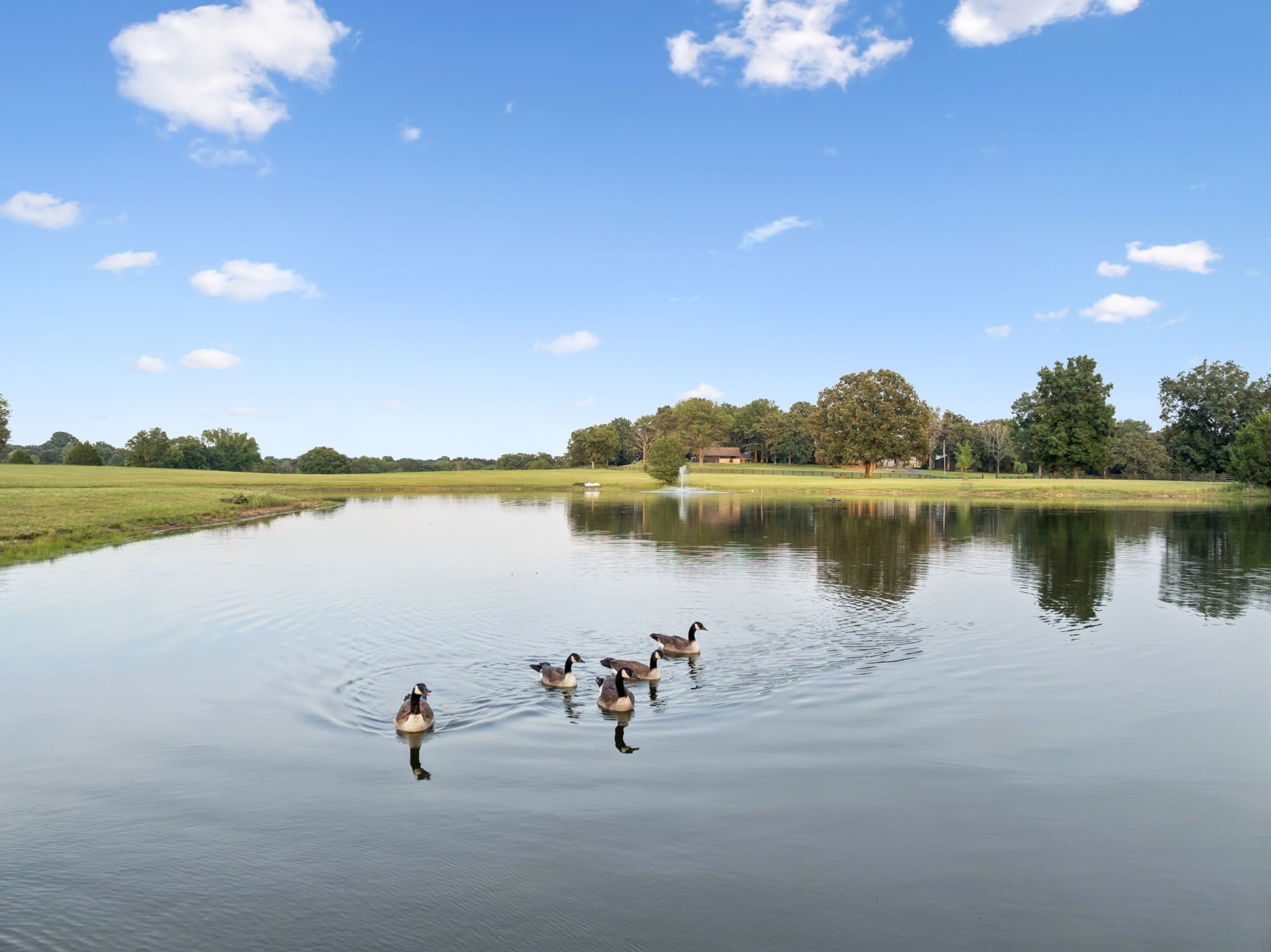 6040 South Mt Juliet Road Hermitage, TN 37076 - Photo 9 of 26