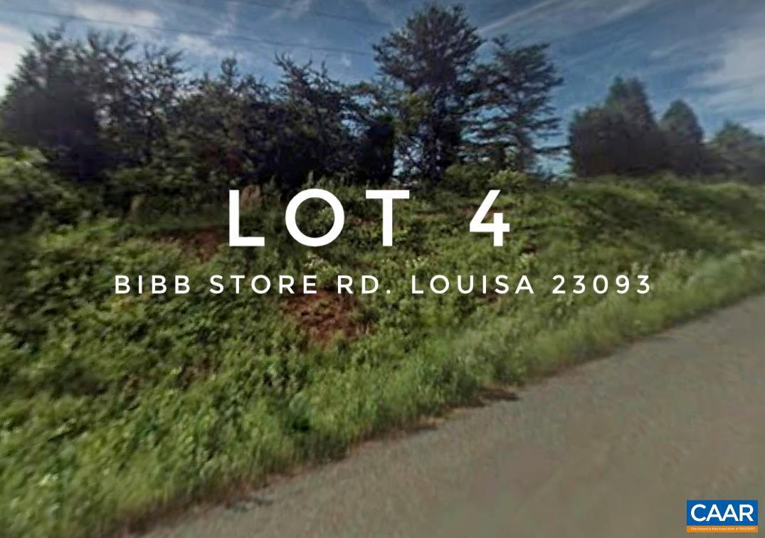0 Bibb Store Road, Unit 4 Louisa, VA 23093 - Photo 3 of 4