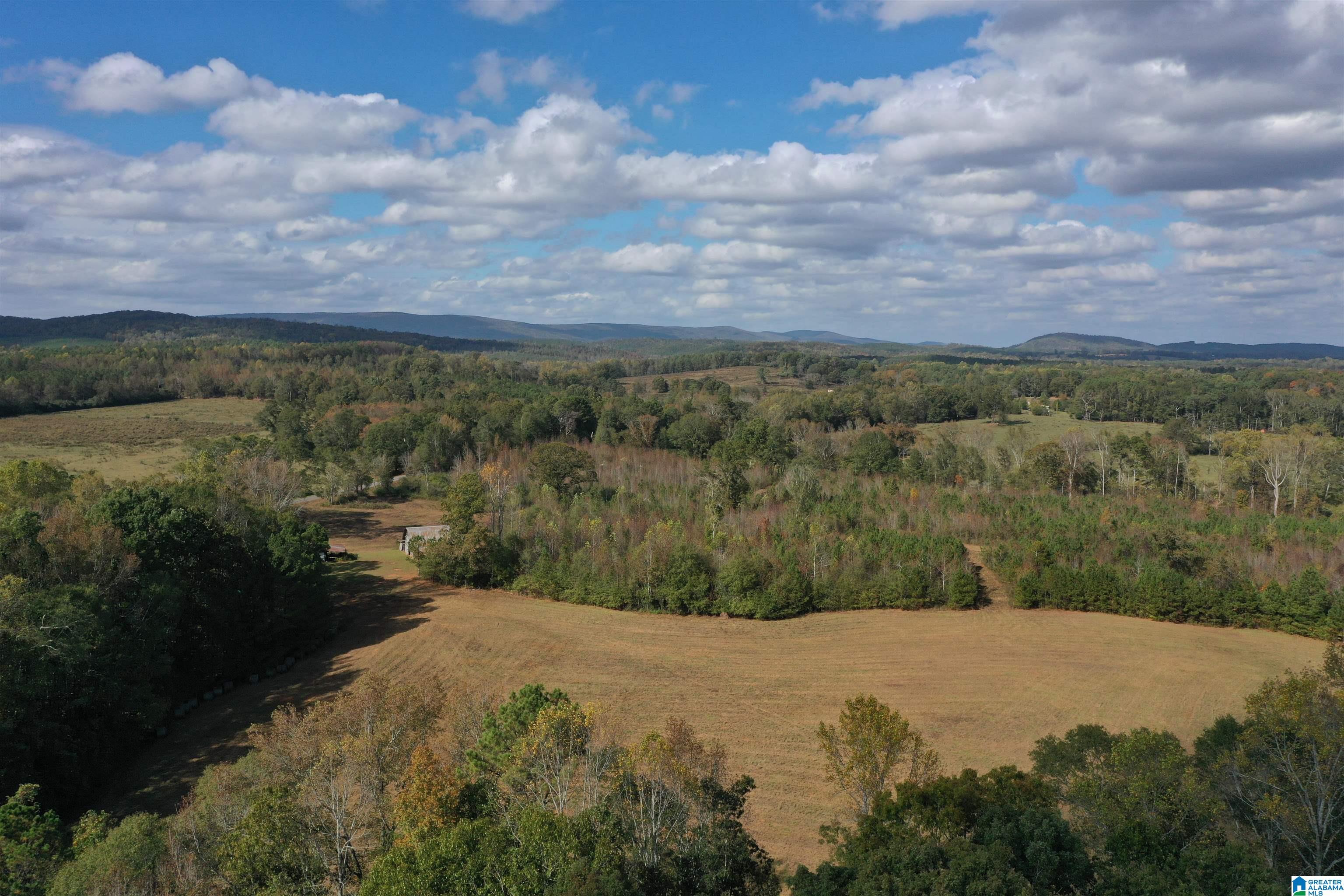 2518 Oak Grove Road Lineville, AL 36266 - Photo 8 of 48 Gallery Image 8