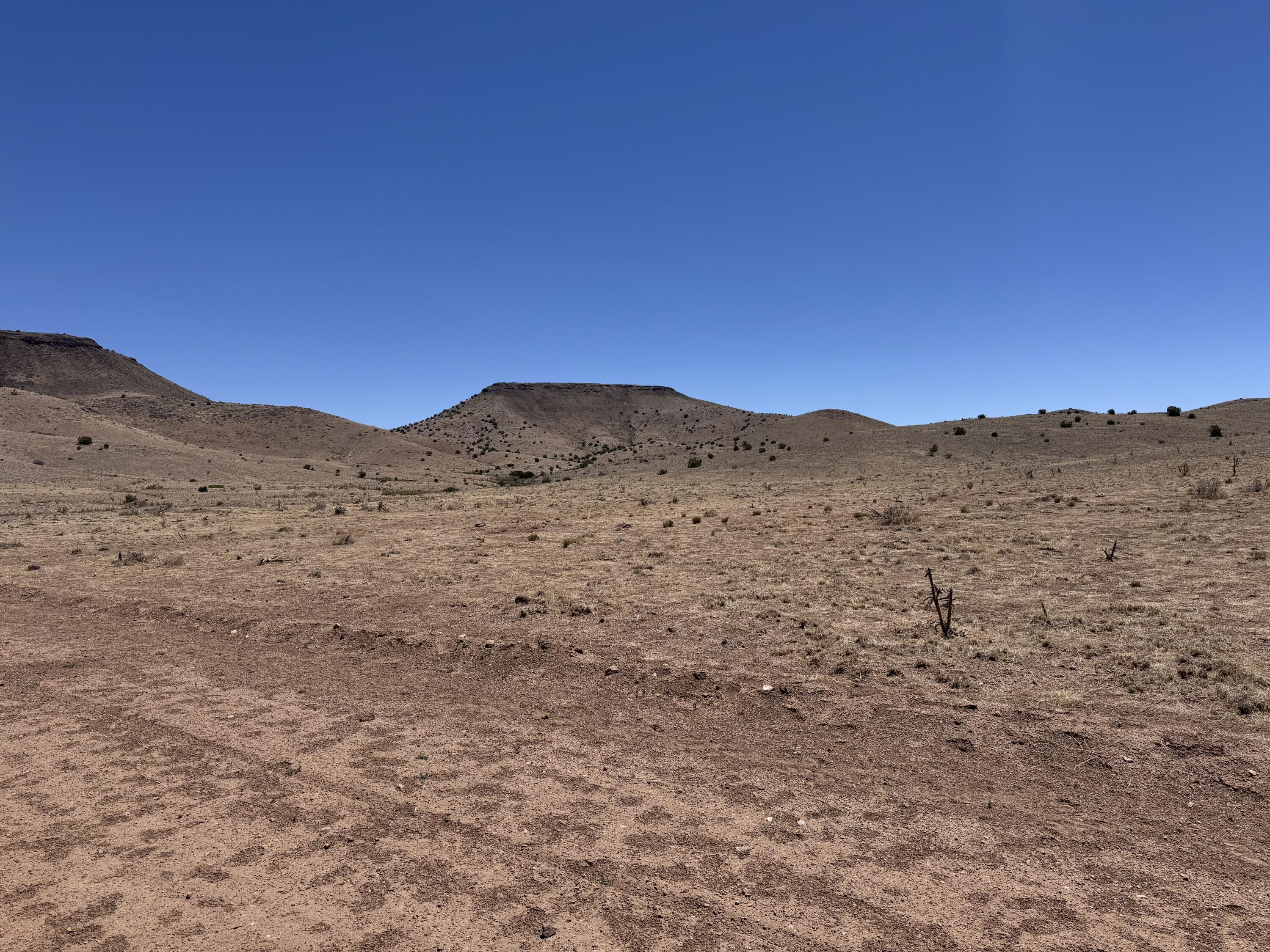 663 Willow Springs Ranch Road Socorro, NM 87801 - Photo 12 of 26 Gallery Image 12