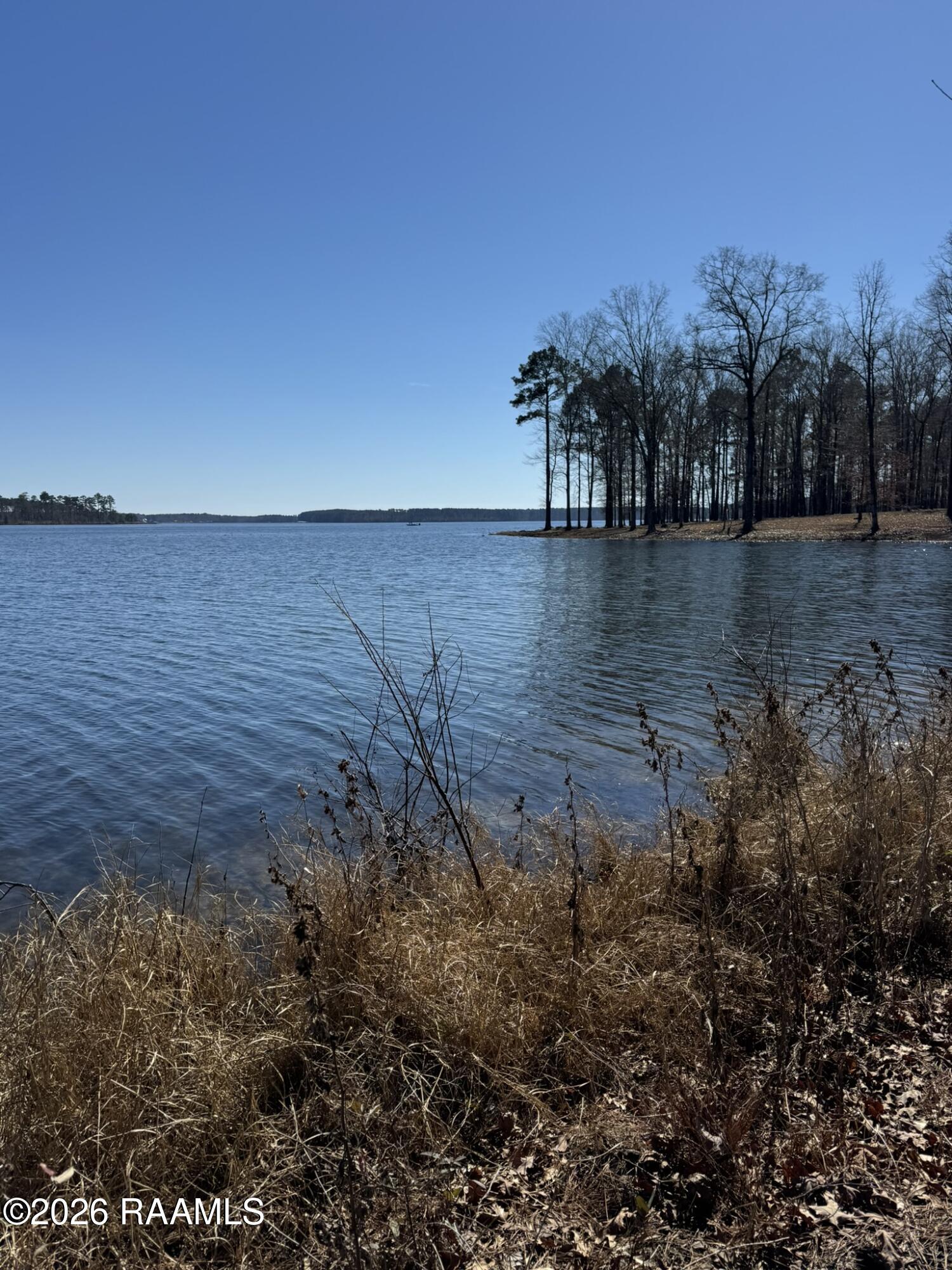 Lot 13 Ramsey Road Chatham, LA 71226 - Photo 3 of 5