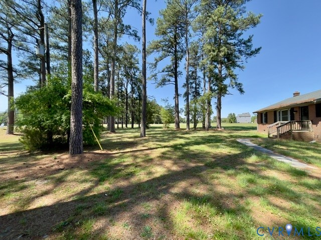10024 South Hill Road Kenbridge, VA 23944 - Photo 28 of 32 a view of a house with a big yard and large trees