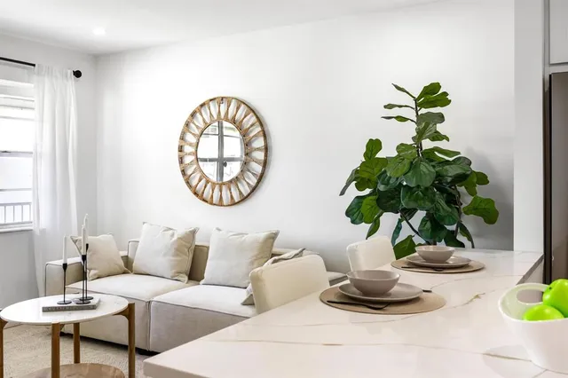 a living room with furniture flowerpot and a potted plant
